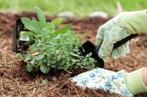 Branches and green waste being measured by load for pricing