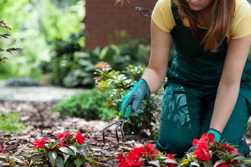 Local tree surgeons in Woodgreen supporting healthy landscapes