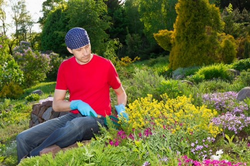 Local tree surgery team providing pruning services in Woodgreen